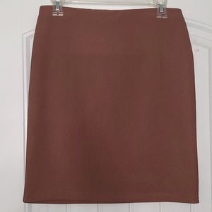 NWT Skirt